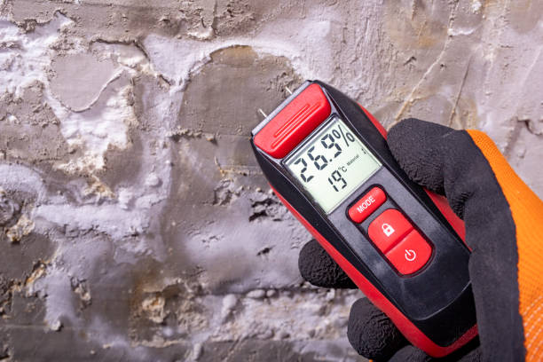 Best Black Mold Removal  in Kodi, AK