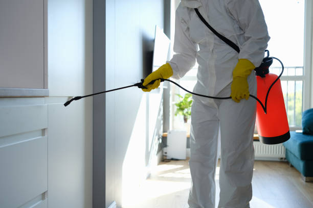 Best Mold Cleaning Services  in Kodi, AK
