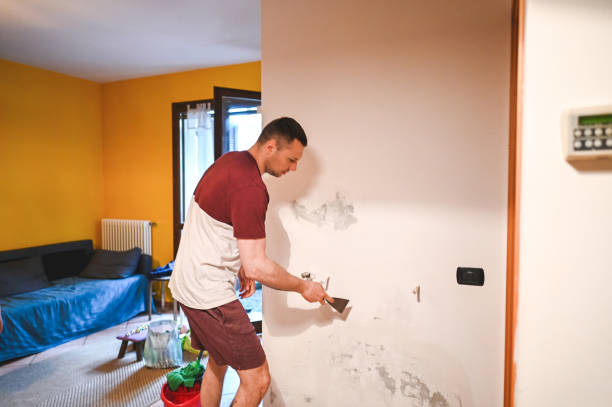 Best Black Mold Removal  in Kodi, AK